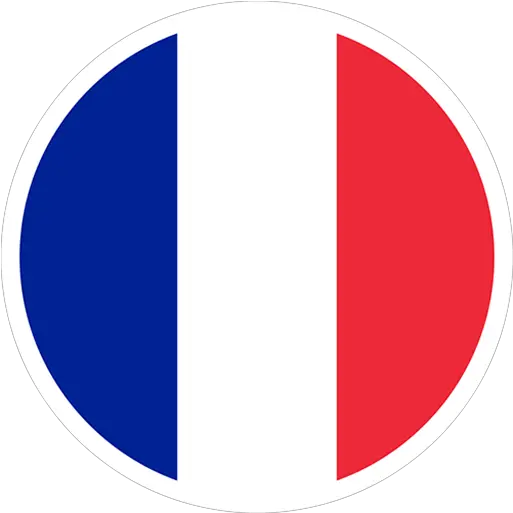 France Logo Logo France Dream League Soccer 2018 Png France Logo