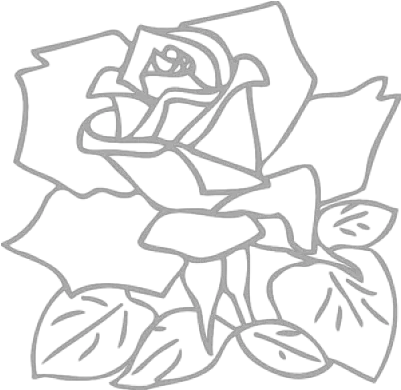 Rose Outline Png Transparent Images Rose Clip Art Rose Outline Png