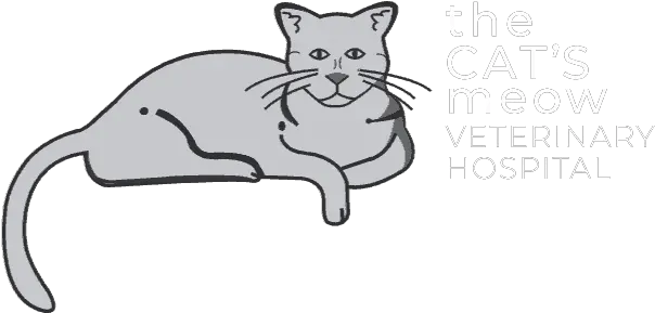 The Catu0027s Meow Veterinary Hospital Cat Animal Clinic Soft Png Cat Lineart Transparent