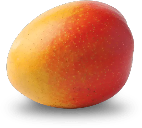 Mango Alphonso Png Mango Transparent