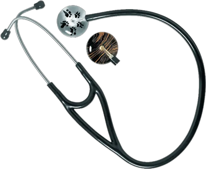 Ultrascope Stethoscope Kyron Labs Cable Png Stethoscope Png