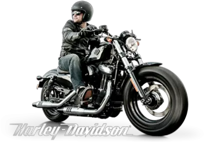 Harley Davidson Of Cebu Harley Davidson Rider Png Harley Davidson Logo Images Free