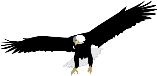 Free Vectors Eagle Clipart Best Bald Eagle Vector Png Eagles Logo Vector