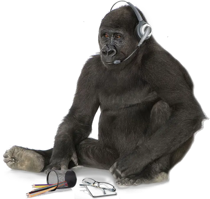 Gorilla Head Png King Kong Black And White Background Gorilla Transparent Background