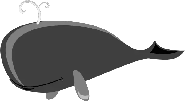 Gray Whale Clipart Png Gray Whale Clipart Png Whale Clipart Png