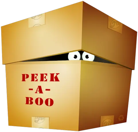 Peek Aboo Stack For Rapidweaver Cardboard Box Png Boo Icon