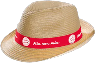 Straw Hat Straw Hat Png Straw Hat Icon