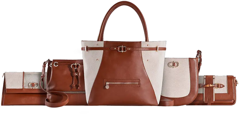 The Ultimate Stylish Png Ted Baker Bow Icon Tote