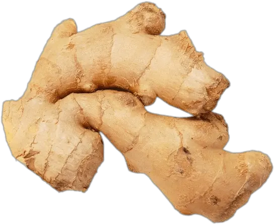 Ginger Root Transparent Png Ginger Root Png Ginger Png