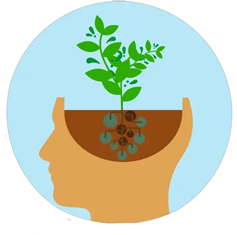 How To Develop A Growth Mindset In Growth Mindset Png Programlar Icon
