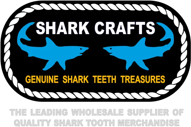 Sharkcrafts Squaliform Sharks Png Shark Teeth Png