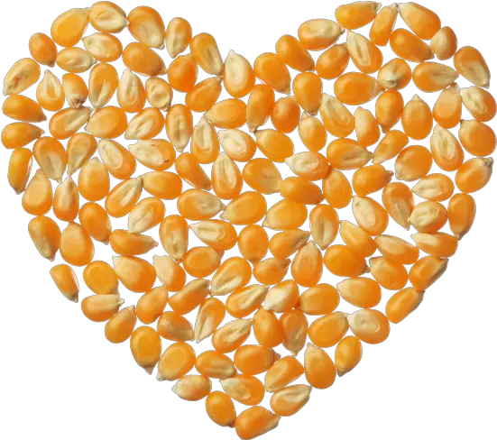 Popcorn Kernels Corn Heart Png Popcorn Kernel Png