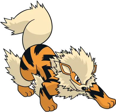 Arcanine Pokémon Shirts Bird Png Arcanine Transparent