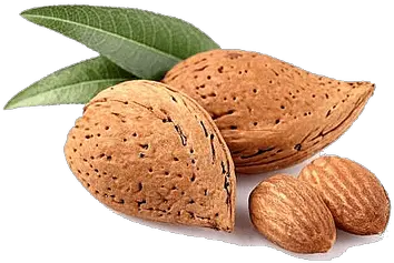 Bowl Of Almonds Transparent Png Almonds Good For You Almonds Png