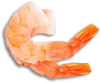 Shrimp King Crab Png Shrimp Png