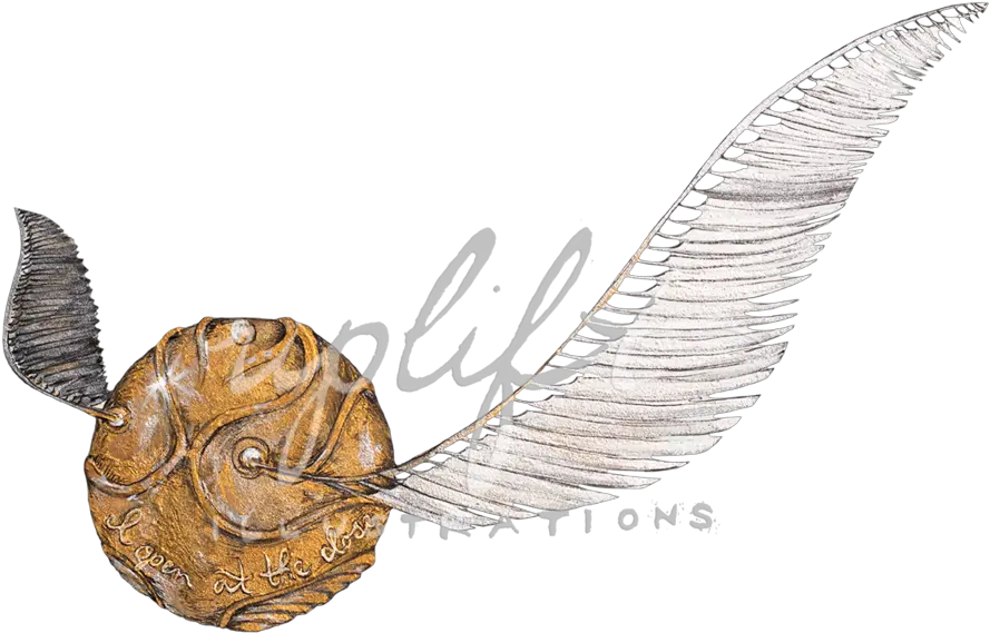 Uplift Illustrations Png Golden Snitch