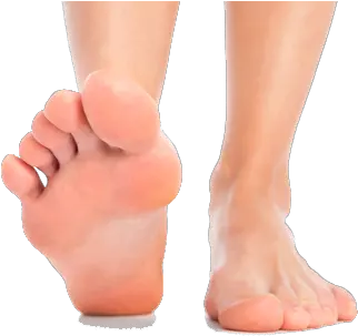 Png 15 Feet Transparent Swelling On Ball Of Foot Toe Png