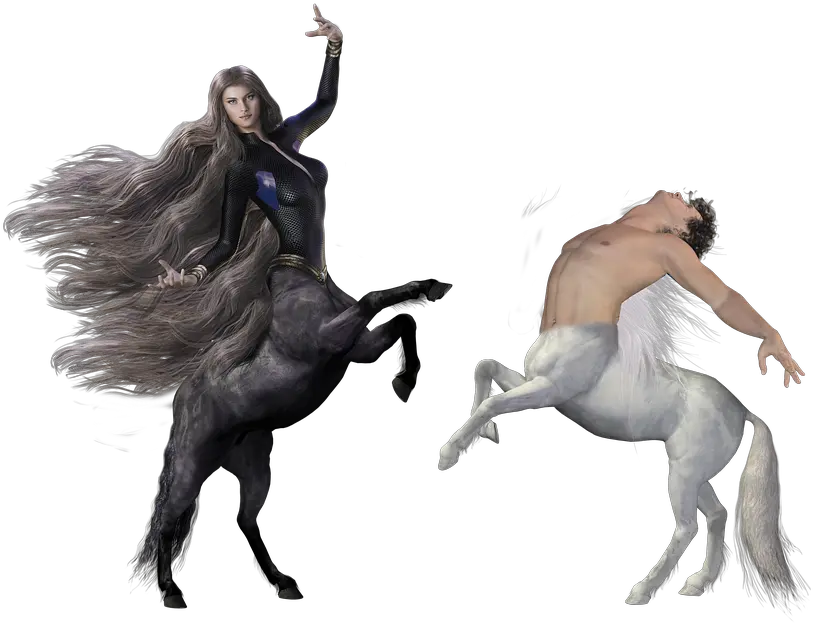 Zentauer Dance Fantasy Free Photo On Pixabay Horse Round Sticker Png Fantasy Png