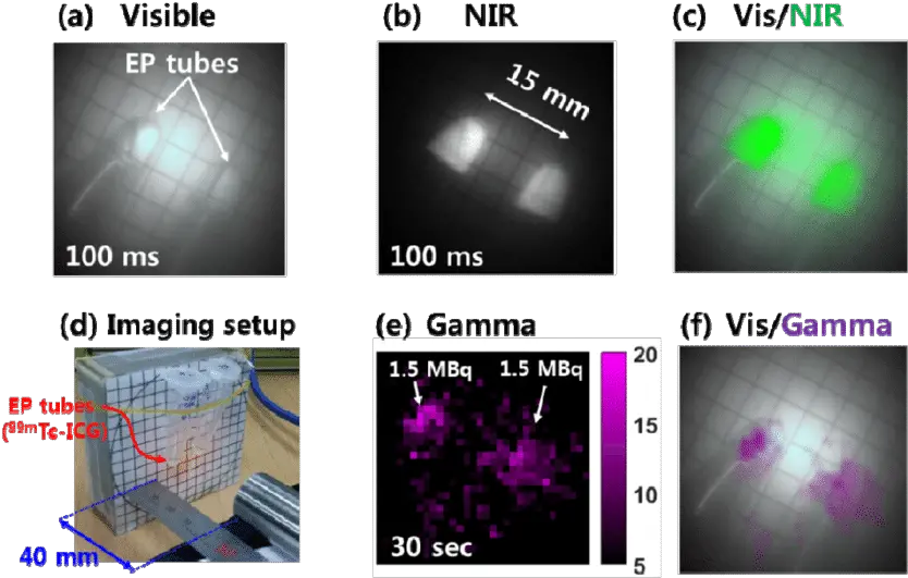 Simultaneous Images Visible Nir Png Purple Lens Flare Png