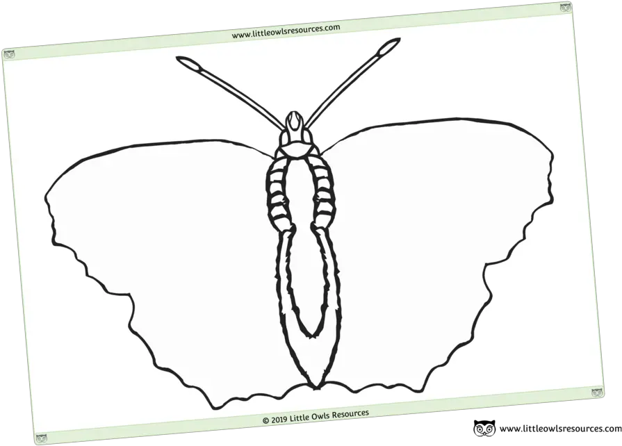 Free Minibeasts Printable Early Yearsey Eyfs Resources Sketch Png Butterfly Outline Png