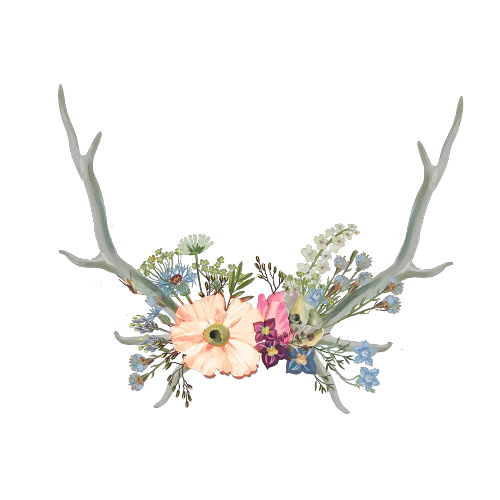 Antler Clipart Flower Crown Flower Crown Png Flower Crown Png