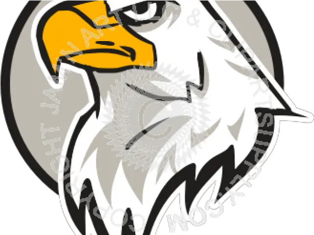 Clipart Of The Day Eagle Head Png Eagle Head Png