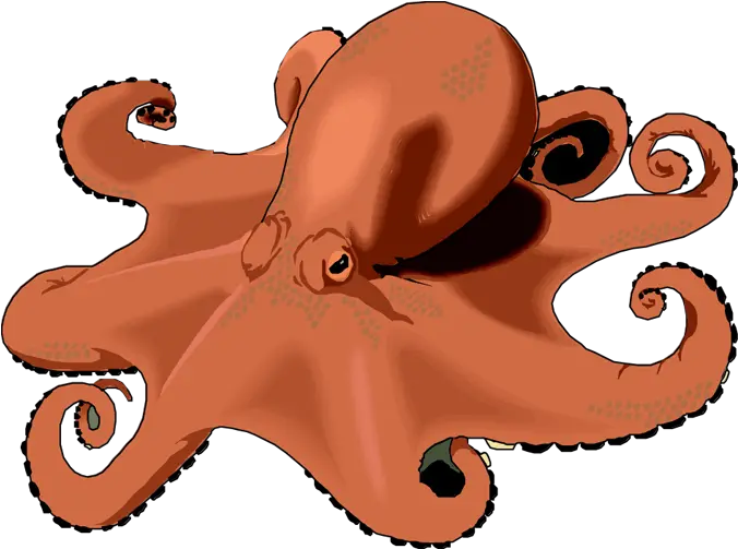 Octopus Clipart Free Images 7 Clipartingcom Clipart Of An Octopus Png Octopus Png