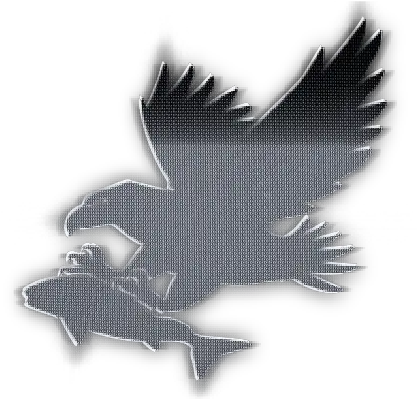 Battlefield 4 Origin Achievements Gamesplanetcom Eagle Png Roblox Valk Clothing Icon
