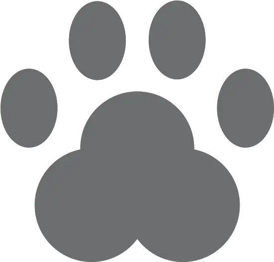 Hea Poh Lin U2013 Canva Marktbrunnen Png Paw Print Icon Border