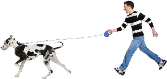 5 Ways To Step Up Your Dog Walking Game Dog Cat Png Dog Walking Png