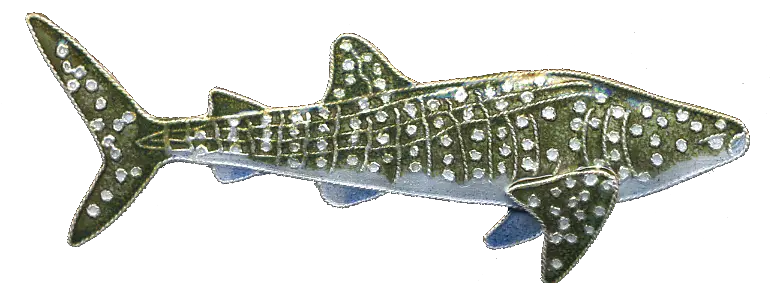 Whale Shark Pin Bamboo Jewelry Png