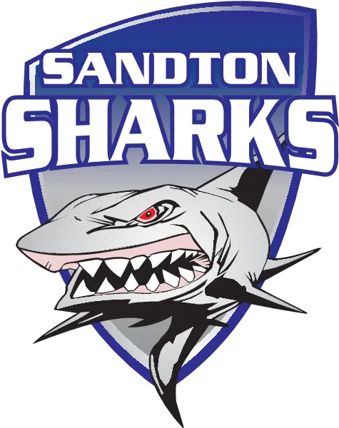 Sandton Sharks Logo Download Logo Icon Png Svg Great White Shark Shark Icon