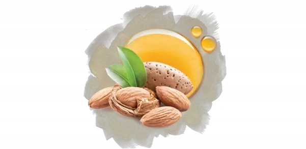 Almond Oil Png Free Images Transparent U2013 Almond Almond Png