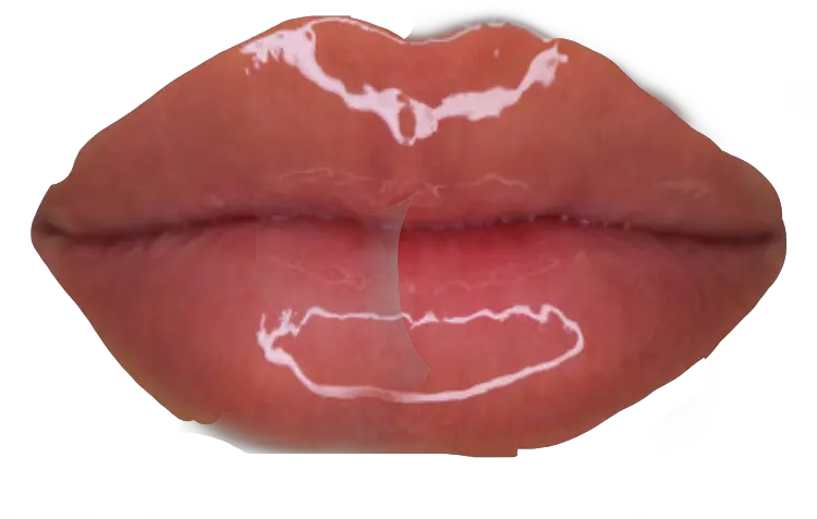 Largest Collection Of Free Toedit Lipstick Stickers Flormar Dewy Lip Glaze Png Color Icon Lip Glass