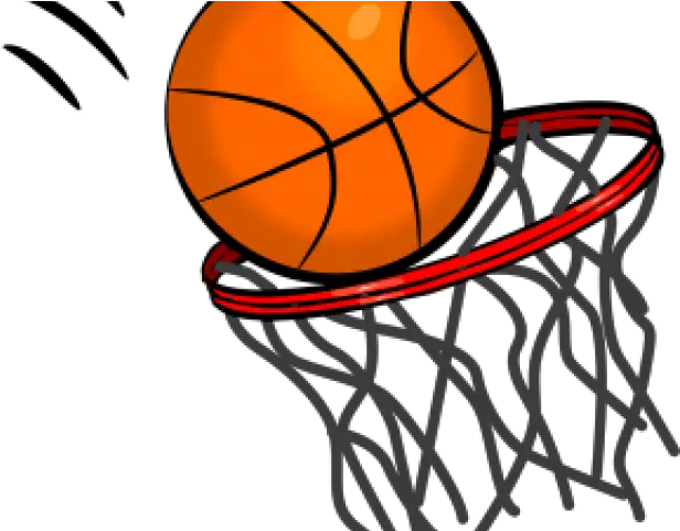 Brain Clipart Basketball Basketball Transparent Background Cartoon Transparent Basketball Hoop Png Basketball Outline Png