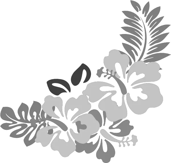 Download Grey Floral Border Png Free Tropical Tropical Flowers Png