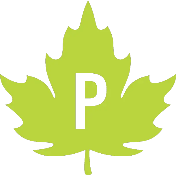 The Perkins School U2013 Faculty U0026 Staff Language Png Maple Leaf Icon