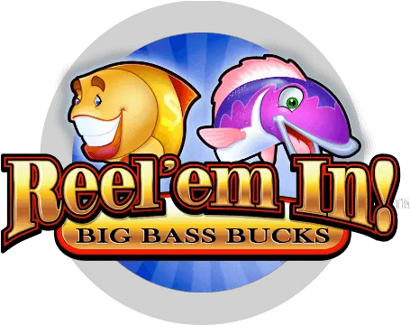 More Information Transparent PNG