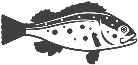 Bass Fish Illustration Snapper Png Bass Fish Logo