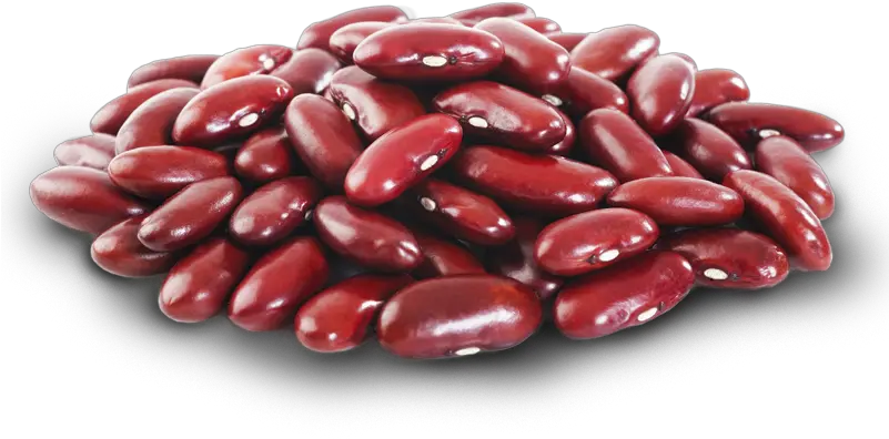 Kidney Beans Png Fasola Czerwona Clip Art Library Kidney Beans Png Beans Png