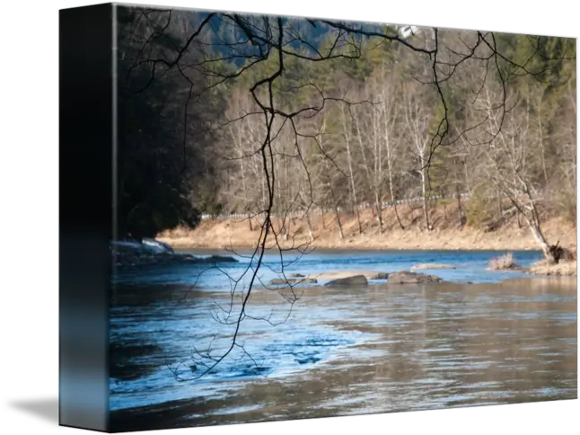 Branches W Clarion River In The Background No By Stephen Picture Frame Png River Transparent Background