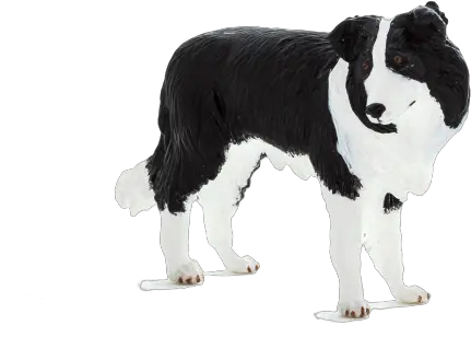 Border Collie Mojo Border Collie Pup Schleich Png Border Collie Png