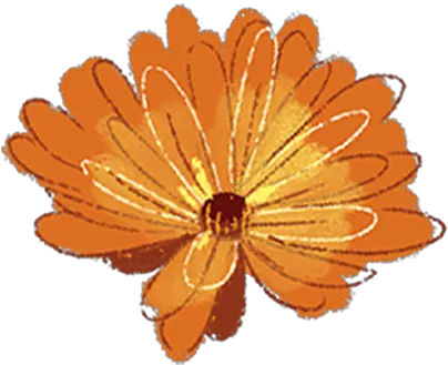 Nourishing Our Creative Fire Decorative Png Princess Daisy Icon