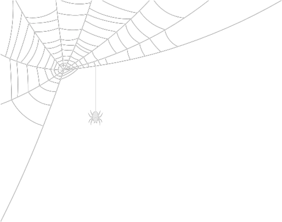 Halloween View All Women Wwwlittlewoodscom Spider Web Png Fishnet Texture Png