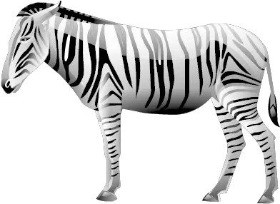 Zebra Png Image Animal Icons Zebra Transparent Background