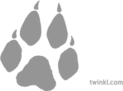 Wolf Paw Grey Illustration Illustration Png Wolf Paw Png