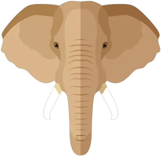 Contact Website Elephant Hyde Png App With Elephant Icon