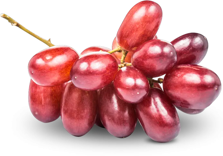 Download Grapes Grape Full Size Png Image Pngkit Seedless Grapes Crimson Red Png Grapes Transparent
