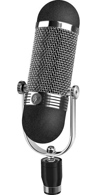 Microphone Outline Png