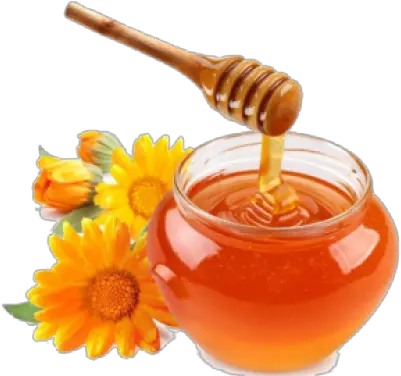 Png Hd Transparent Honey Honey Hd Honey Png